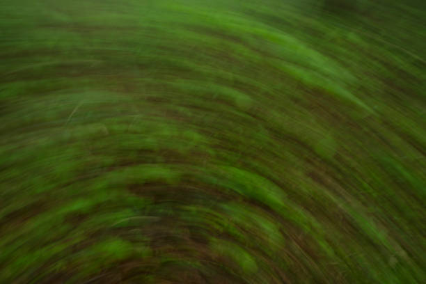 istock Mistake shot、Views of the bamboo forest 1000565592