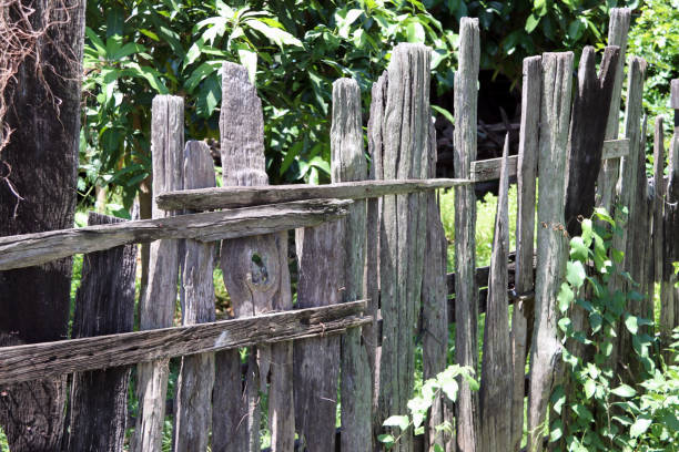 istock Old wooden fence with green tree background. 1000580106