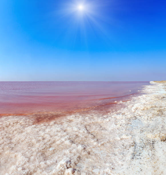 istock Pink salty Syvash Lake, Ukraine 1000602376