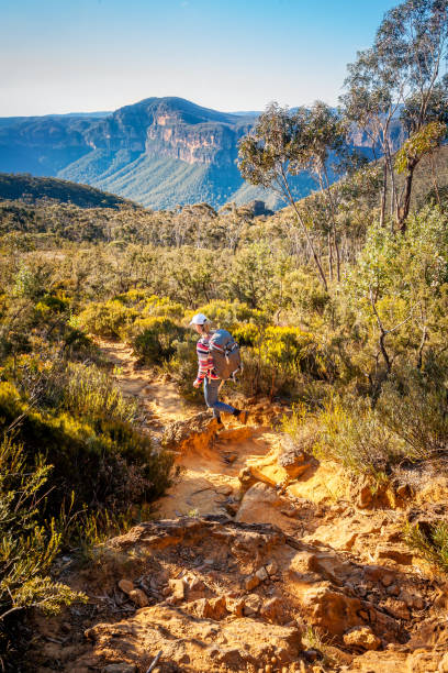 istock Bushwalker negotiating a section of track that has eroded away 1000610634