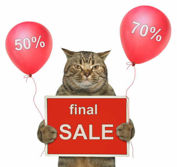 istock Cat holds a sign and balloons 2 1000623242