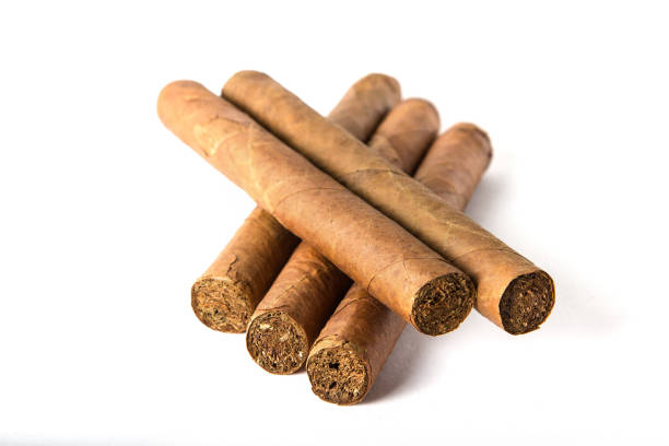 istock Cuban big cigars isolated on white background 1000640536