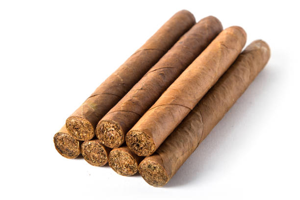 istock Cuban big cigars isolated on white background 1000640570