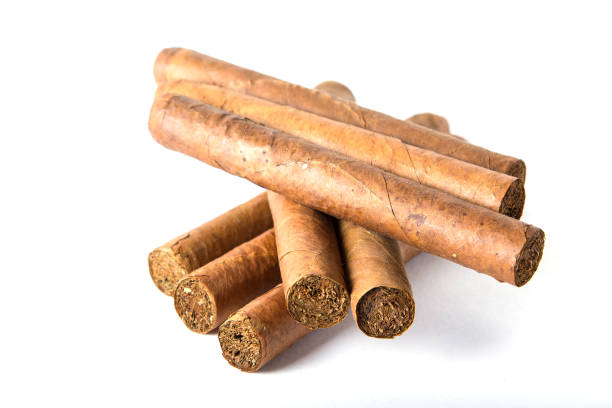 istock Cuban big cigars isolated on white background 1000640590