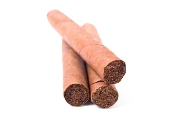 istock Cuban big cigars isolated on white background 1000640706