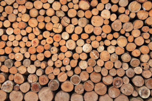istock round fire wood texture. natural decoration element for warm homey concept design. 1000651768