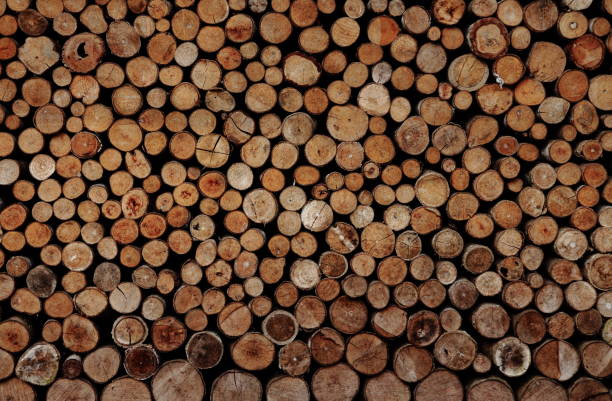 istock round fire wood texture. natural decoration element for warm homey concept design. 1000651770