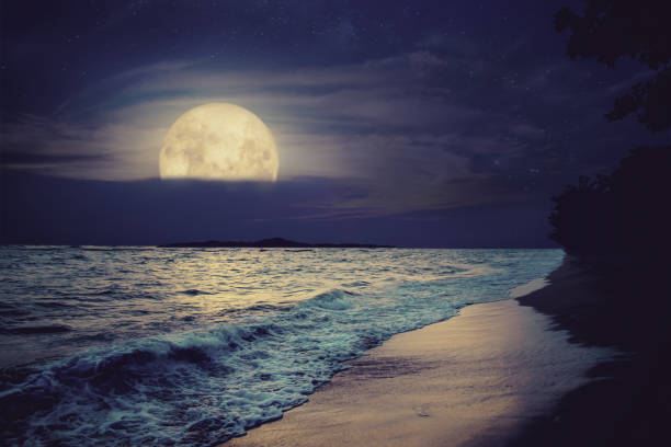 istock Beautiful fantasy tropical sea beach in night 1000657178