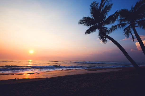 istock seascape of summer beach 1000660800