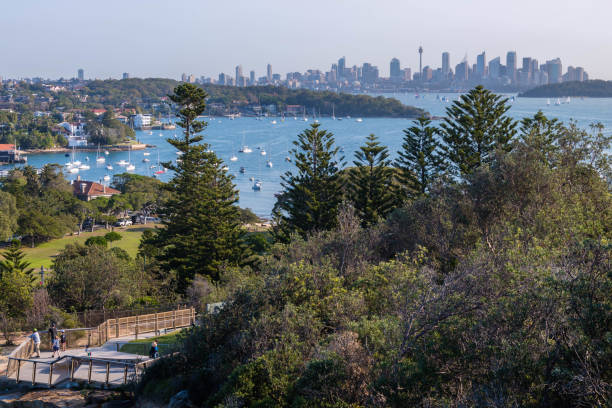 istock Sydney from Watsons Bay 1000676800