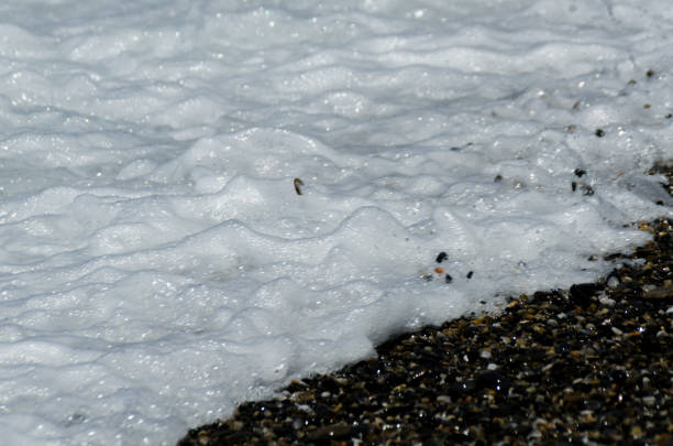 istock pebble beach washed by sea waves, small and various stones forming the shore 1000681762