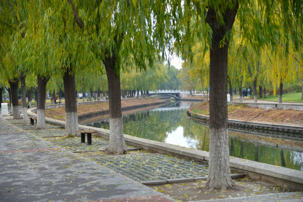 istock China. Autumn along a walkway 1000696880