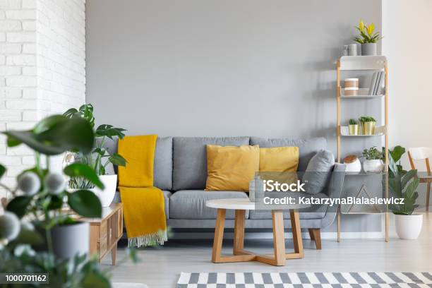 Orange Kissen Und Decke Auf Graue Couch Im Wohnzimmer Interieur Mit Holztisch Echtes Foto Stockfoto und mehr Bilder von Wohnzimmer