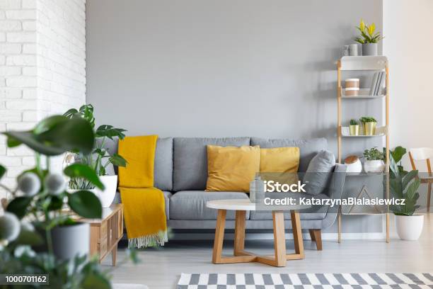 Orange Pillows And Blanket On Grey Couch In Living Room Interior With Wooden Table Real Photo Stock Photo - Download Image Now