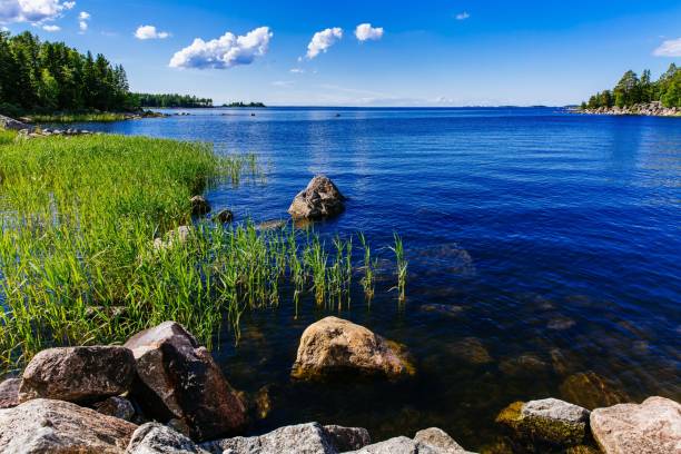 Clear water blue lake with stones and green forest on a sunny summer day in Finland. Clear water blue lake with stones and green forest on a sunny summer day in rural Finland. saimaa stock pictures, royalty-free photos & images