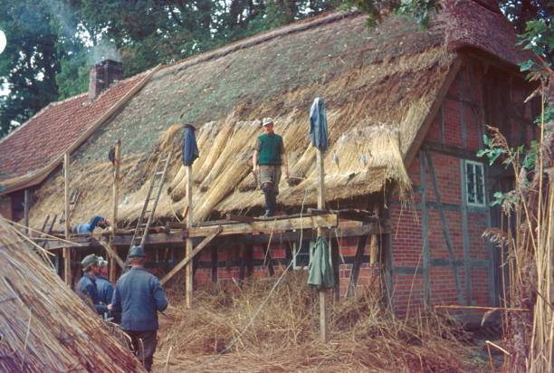 construcción de techo de paja en baja sajonia - barn conversion fotografías e imágenes de stock