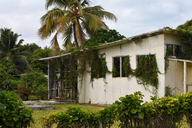 istock Polynesia cook island bungalow house 1000720892
