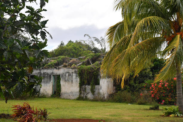 istock Polynesia cook island bungalow house 1000720912