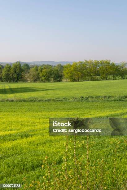 ポー川流域の田園地帯の概要 - ストックフォト・写真素材...