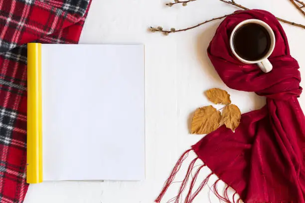 Magazine mock up autumn. Cup of coffee, warm red plaid and red scarf, dry yellow leaves and dry branches. Copy space