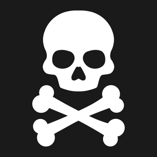 череп и скрещенные кости. значок вектора - pirate corsair cartoon danger stock illustrations