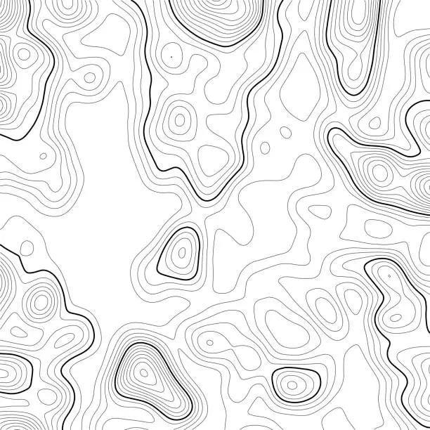 Vector illustration of Topographic map background. Grid map. Contour. Vector illustration.