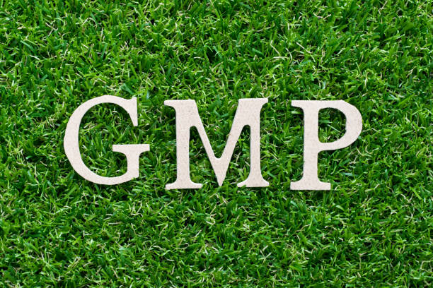 Wood alphabet in word GMP (abbreviation of Good manufacturing practice)on artificial green grass background