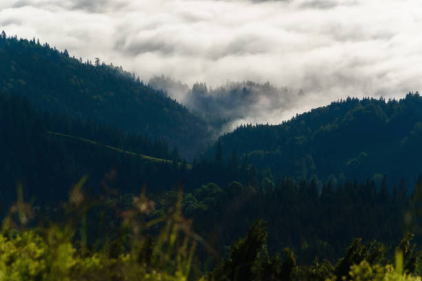 istock Mountain haze in the morning 1000773948