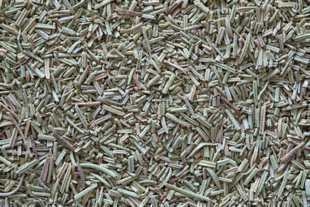 istock Rosemary spice background or texture. The macro shot is made by means of stacking technology 1000794016