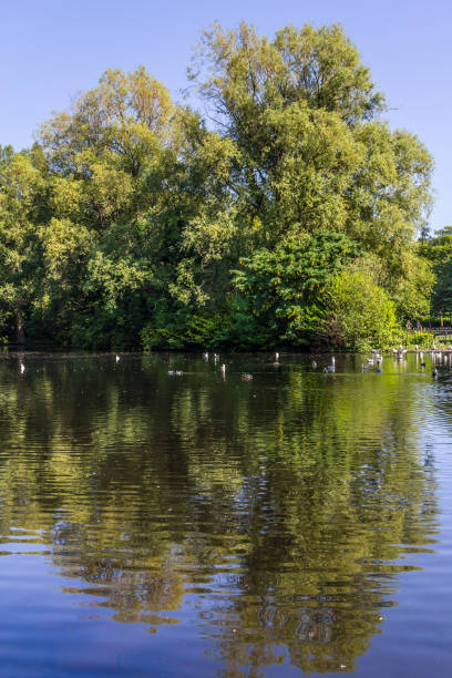 istock Lake in St Stephen Green Park 1000794446