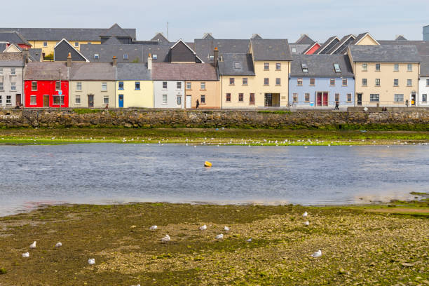 istock Buildings and Seagulls in Corrib river 1000803476