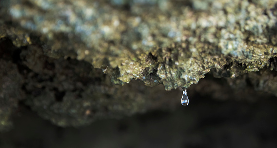 i took this photograph under a rock trying to get the perfect shot. took me over an hour to be able to get the drop with no blur and in the perfect shape