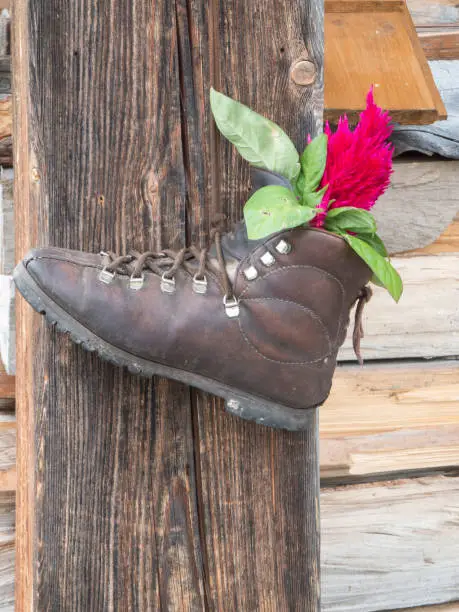 An old hiking shoe with a rose attached to a wooden post.