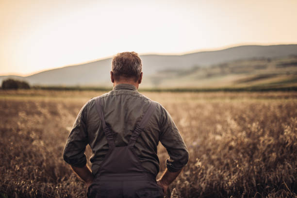 istock Farmer in yellow wheat meadow .Freedom concept 1000814266