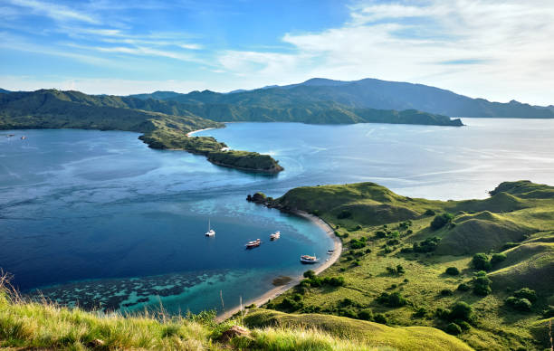 Landmark view of 'Gili Lawa' with green savanna grass and blue sea in an evening, Komodo Island (Komodo National Park), Labuan Bajo, Flores, Indonesia Landmark view of 'Gili Lawa' with green savanna grass and blue sea in an evening, Komodo Island (Komodo National Park), Labuan Bajo, Flores, Indonesia pulau komodo stock pictures, royalty-free photos & images