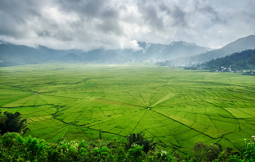 Vista aérea de campos de arroz verde Lingko Spider Web con luz del sol que a través de las nubes al campo con lluvia. Flores, East Nusa Tenggara, Indonesia photo