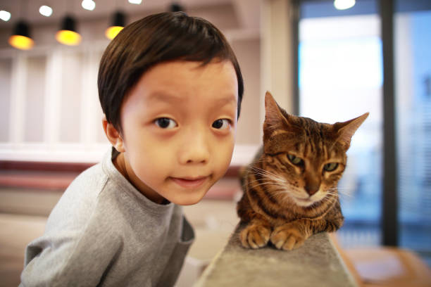 istock Cute children and cat 1000823894