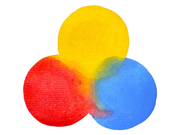 illustrazioni stock, clip art, cartoni animati e icone di tendenza di 3 colori primari, giallo blu acquerello pittura cerchio rotondo su sfondo di trama carta bianca - primary colours