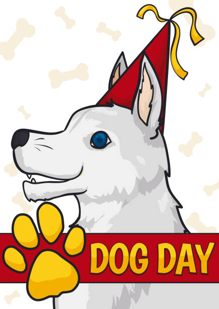 illustrazioni stock, clip art, cartoni animati e icone di tendenza di buon cane bianco con cappello da festa che celebra la sua giornata - spitz type dog immagine