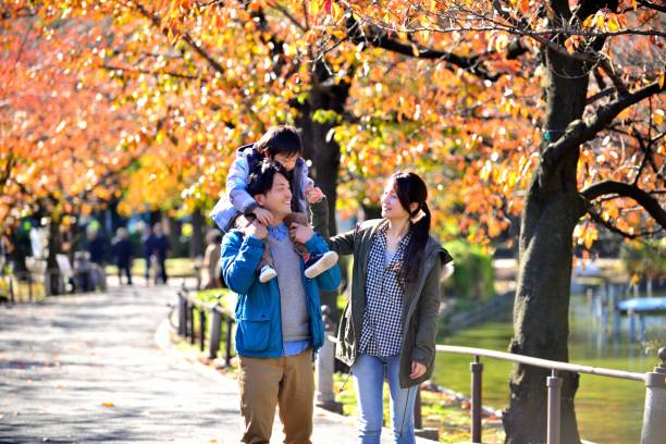 日本の家族が上野公園の秋の色でリラックス - 葉桜 ストックフォトと画像