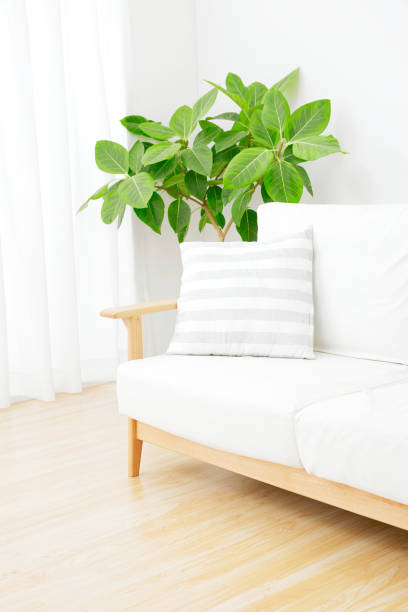 istock the living room, no people 1000841594