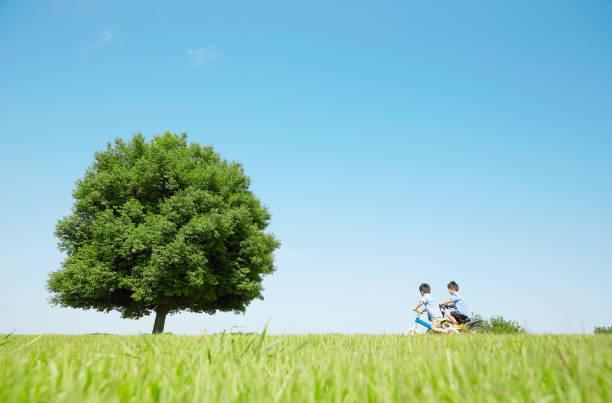 азиатские дети едут на велосипеде - hill grass park sky стоковые фото и изображения