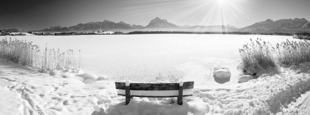 rural landscape with mountains and lake Hopfensee in Bavaria at winter rural landscape with mountains and lake Hopfensee  in Bavaria at winter forggensee lake photos stock pictures, royalty-free photos & images
