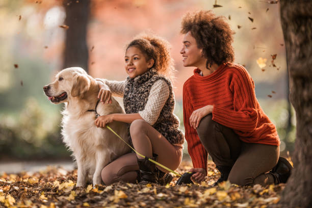 istock Enjoying in autumn day with golden retriever! 1000846674