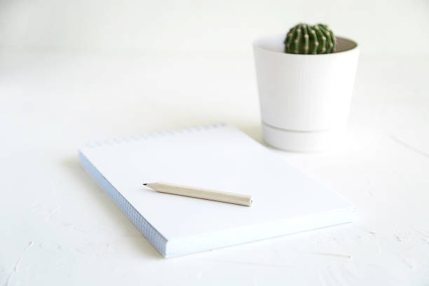 istock business or study concept, notebook and pencil, and mini cactus on whi 1000849354
