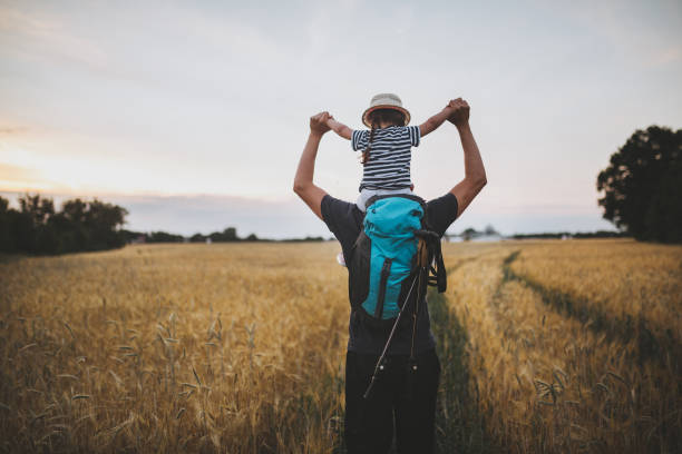 黄金の草原の家族をハイキング - travel nature rural scene outdoors ストックフォトと画像