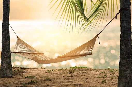 Empty white hammock with sunhat and sunglass in the shade between palm tree with palm leaves on tropical beach at sunset. Sunset summer beach relax with hammock on glowing bokeh from blue sea.