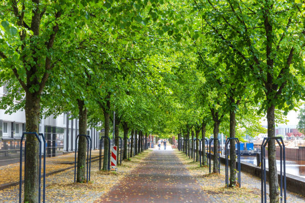istock oldenburg historic town in lower saxony germany 1000863384