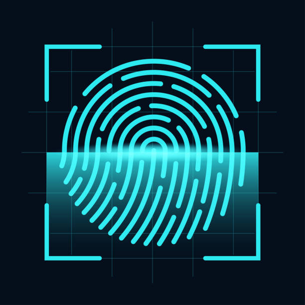 illustrazioni stock, clip art, cartoni animati e icone di tendenza di concetto di scanner di impronte digitali. sicurezza digitale e informatica, autorizzazione biometrica. impronta digitale sullo schermo di scansione - fingerprint lock order accessibility