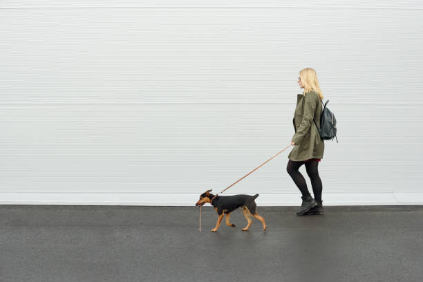 With dog. Girl walking with her dog.